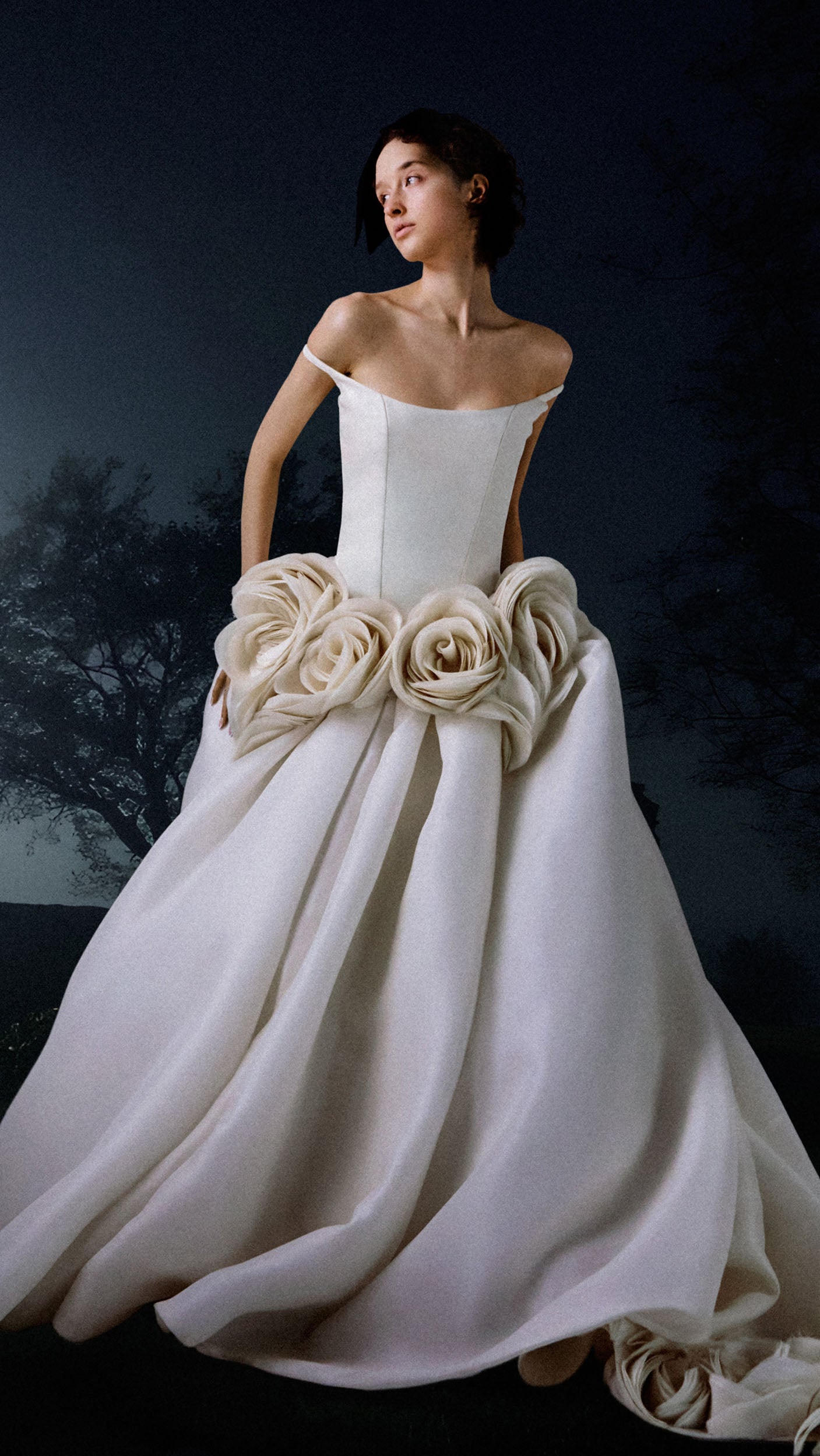 ANNE Vera Wang ANNE Vera Wang