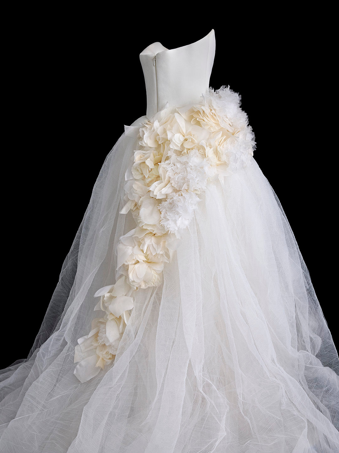 Search – Vera Wang
