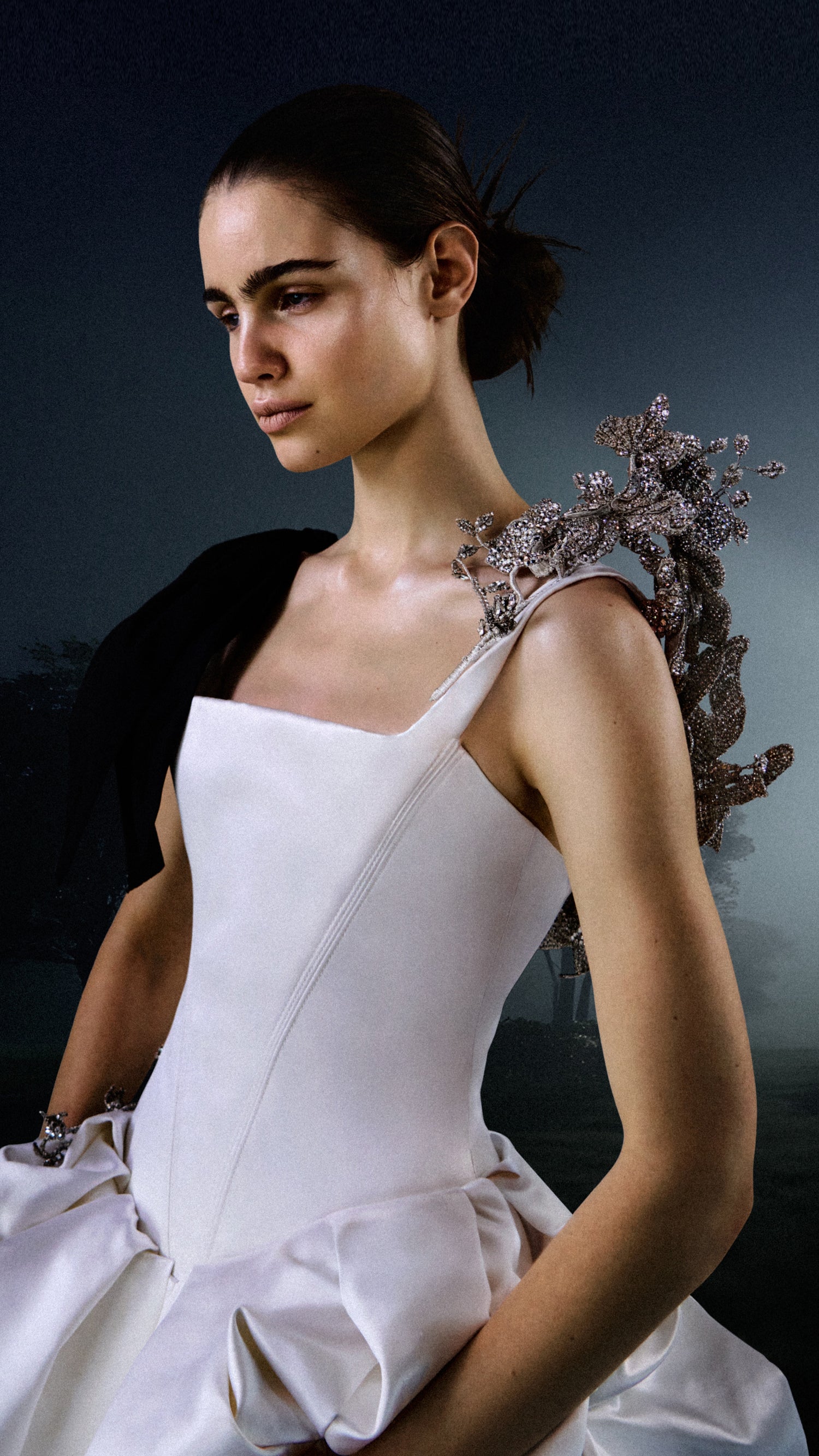 Vera Wang Haute Wedding Latest Collection Vera Wang Haute Wedding Latest Collection