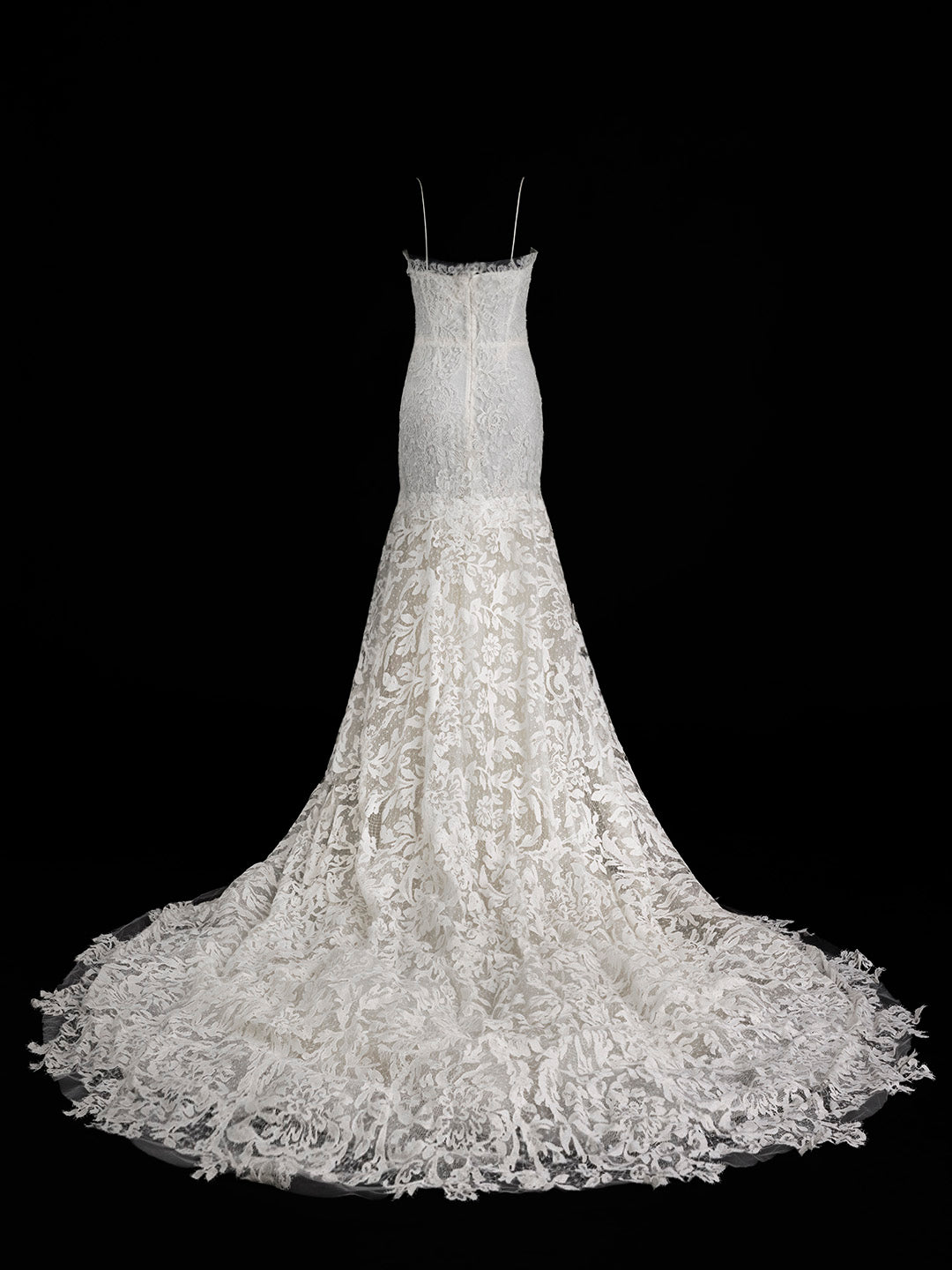 HAZEL – Vera Wang